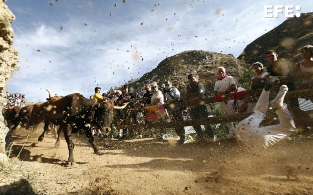 El fotógrafo de EFE Jesús Diges, premio Teobaldo 2024 por una foto del encierro del Pilón