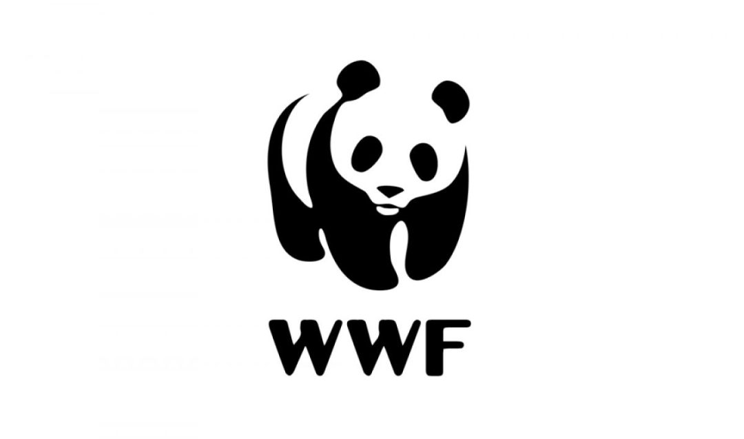 Convocada la beca EFE-WWF de periodismo ambiental