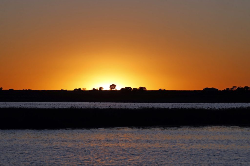 El proyecto LIFE Wetlands4Climate, dedicado a la gestión y restauración de humedales mediterráneos como sumideros de carbono, ha sido galardonado con el LIFE Award 2026 en la categoría de Acción Climática.